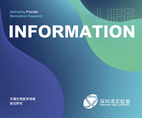 營口_包裝設(shè)計(jì)業(yè)發(fā)展的璀璨明珠